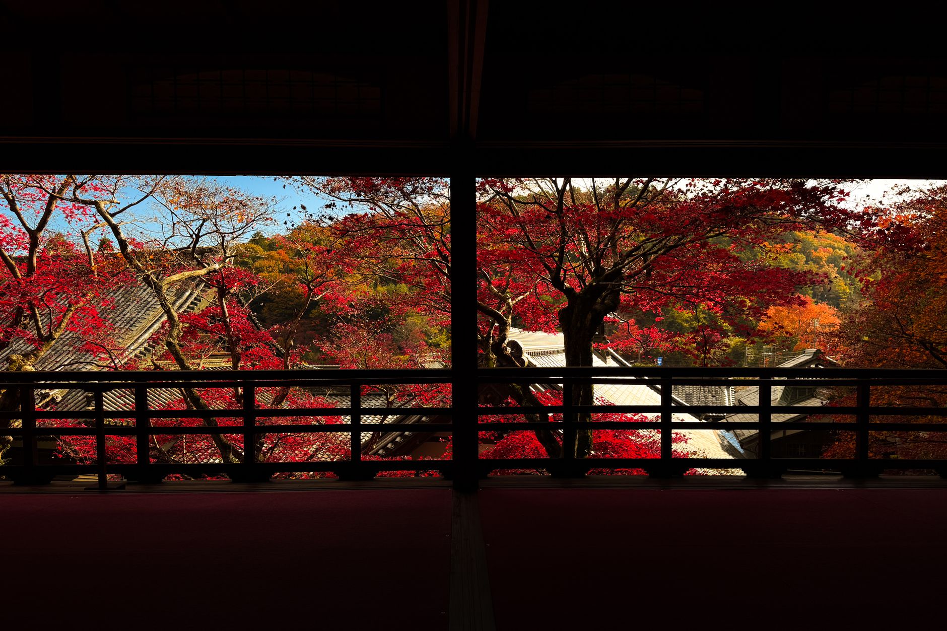 Voyager au Japon en automne 2026 : guide complet